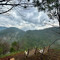 Farmer's Hill Campsite Mountain-View Tent
