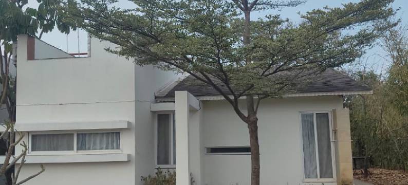 Kimaya Cottage图片