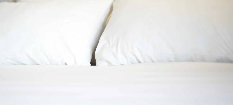 B&B HOTEL Magnanville图片