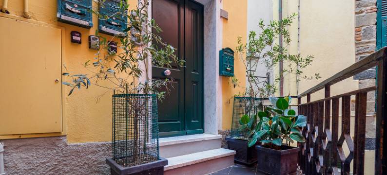 Carmelina 房间(Carmelina Room)图片