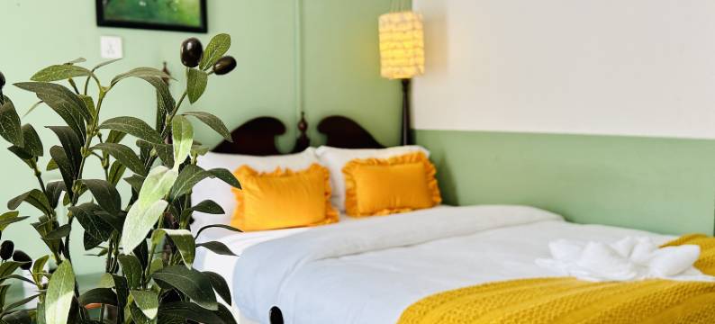 达尔文酒店(Hotel Darwin)图片