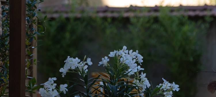 大洋洲里昂酒店(Oceania Lyon)图片