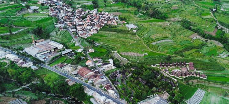 Jambu Klutuk Resort图片