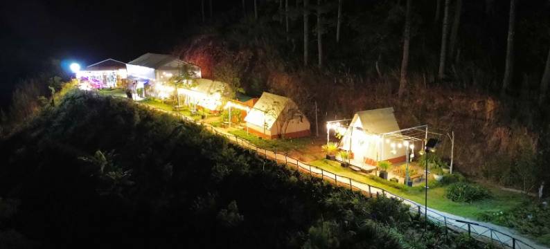 阿米卡杰农场(Amikaje Farm)图片