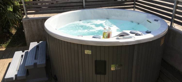 Modern guest suite with terrace, hot tub, sauna图片