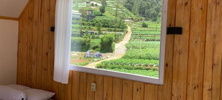 Cabin wahyuabadi nearprau mountain mezzanine dieng图片
