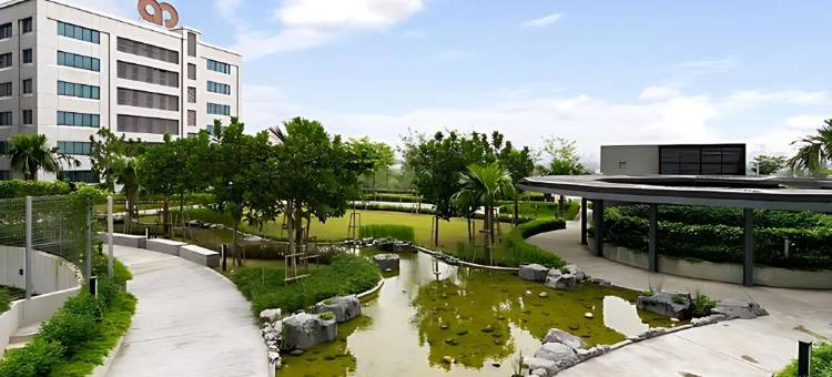 Lumi Tropicana by Livora Haus图片