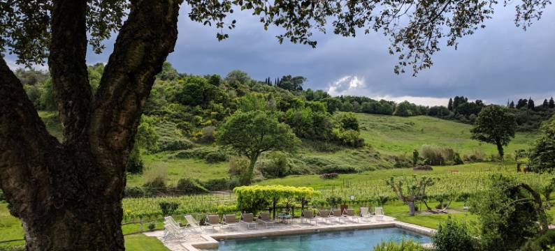 Wild Agriturismo Podere della Bruciata图片