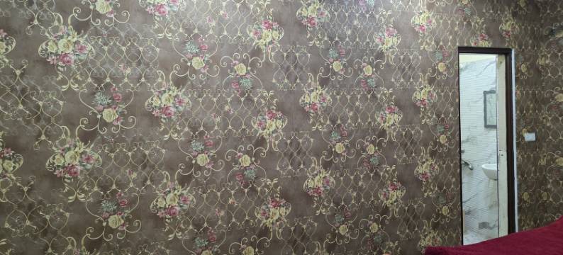 阿拉卡酒店(Hotel Alaka Inn)图片