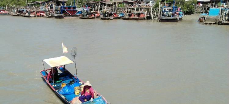椰子民宿丹绒加弄,瓜拉雪兰莪(Coconut Homestay Tanjong Karang Kuala Selangor)图片
