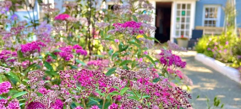 老十字酒店(St Davids Cross Hotel)图片