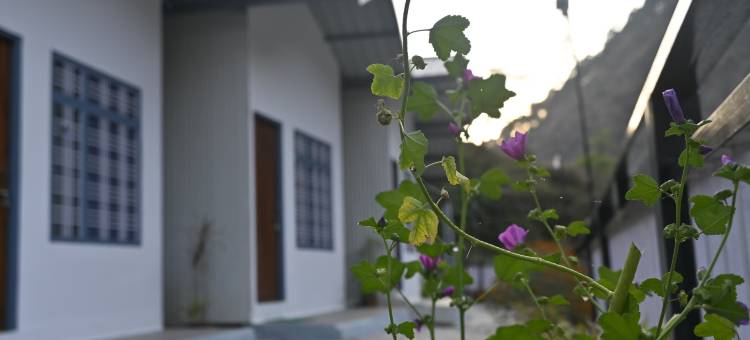 Yamuna Deep度假村及咖啡馆(Yamuna Deep Resort And Cafe)图片