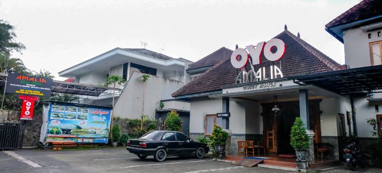 OYO778玛琅阿玛莉亚旅馆(Hotel O Guest House Amalia Malang)图片
