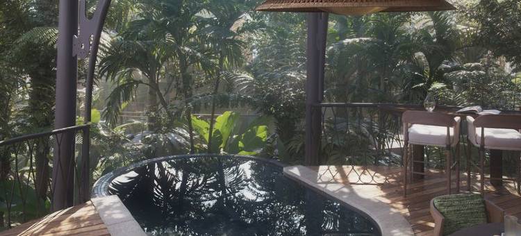 Twinpalms Treehouses Phuket图片