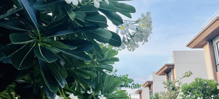 金兰温德姆别墅(Wyndham Cam Ranh Villas)图片