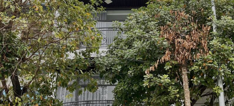 西湖·珍珠套房水疗酒店 - 佩嘉仕集团(Westlake Pearl Suites & Spa - By Pegasy Group)图片