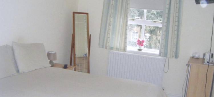 Komegloba大房间(Komegloba Mega room)图片