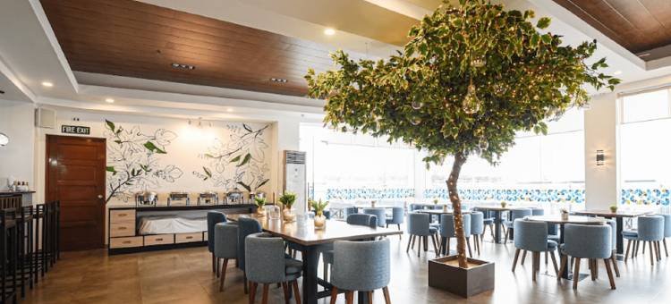 无花果树酒店(Figtree Hotel)图片