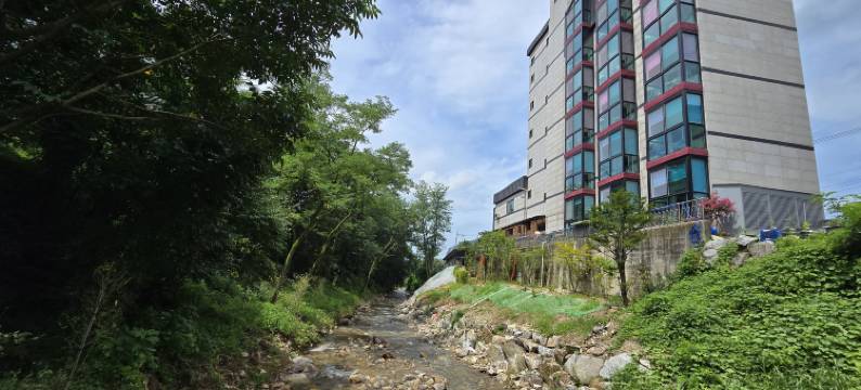 桃子汽车旅馆(peach motel)图片