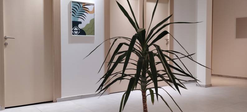 Five Hours Hotel Inn图片