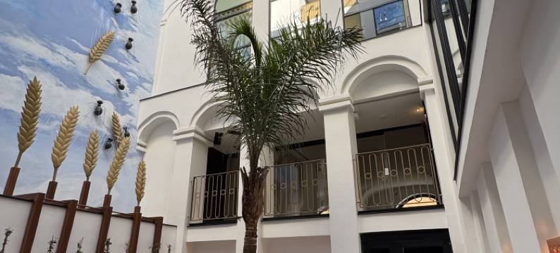 迪维诺酒店 by Fimedhotels(Hotel Divino by Fimedhotels)图片