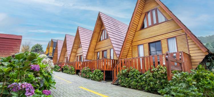 钻石小屋(Diamond Cabin House)图片