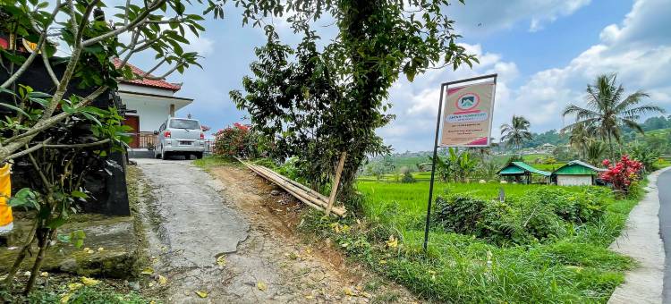 Anish Homestay Jatiluwih Tabanan图片