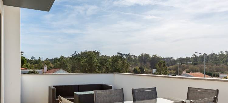 豪华别墅配有私人游泳池(Villa near Obidos Lagoon and Surf Beaches)图片