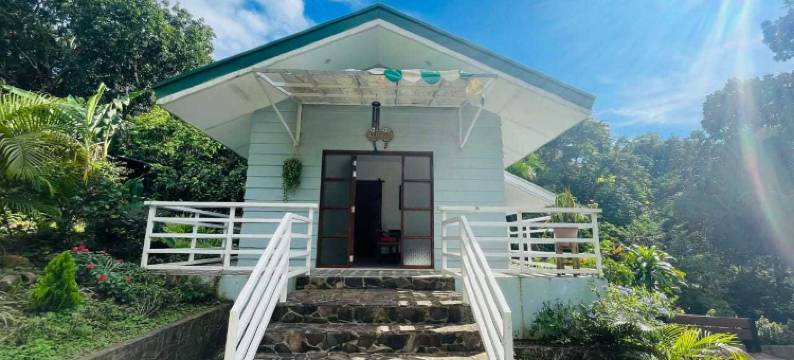 1193 Pinehall Farm Rizal图片