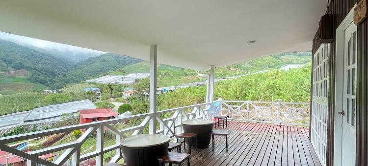 Alpaca Club Homestay图片