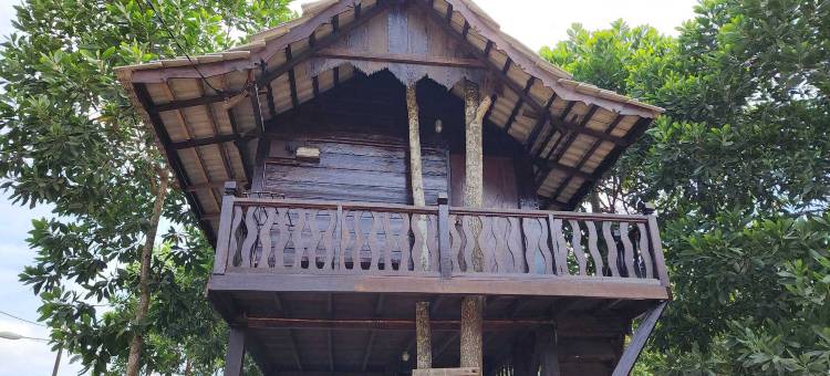 DIMA GARDEN(SUNGAI PETANI)图片