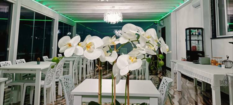 Hotel Ohana Rome图片