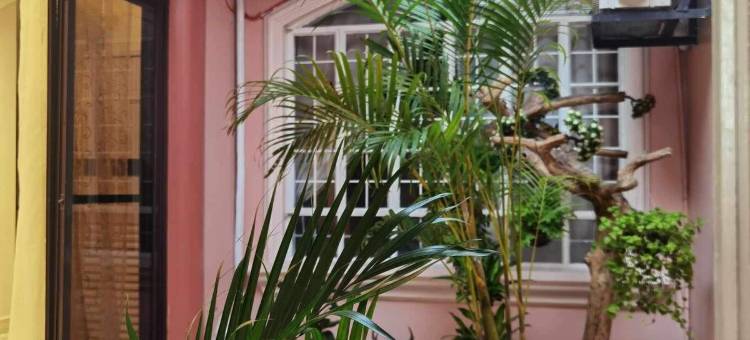 Tropical House图片