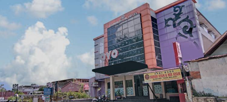 Hotel O near RSUD Arifin Achmad formerly Damon Butik Hotel图片