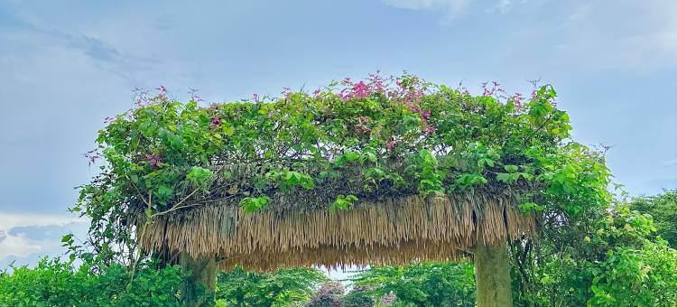 Casa Forest Modern Suites at Forest City JB图片