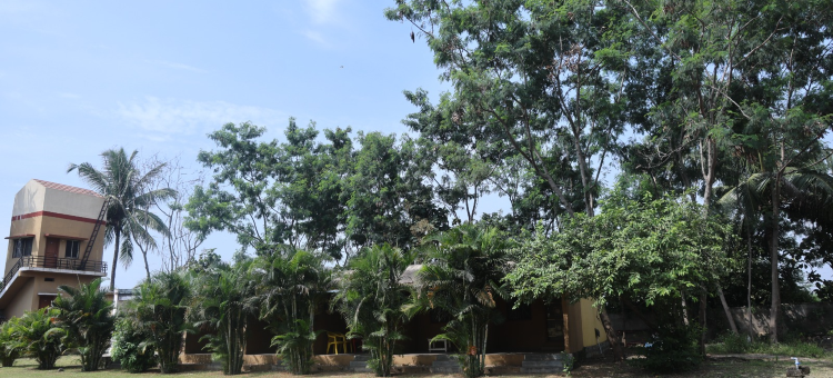 汉皮蓝月度假村(Hampi Blue Moon Resort)图片