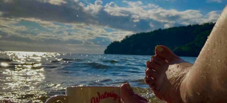 Watering Hole Apartments ( Unit B )图片