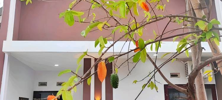 LieFly Prambanan别墅(LieFly Prambanan Villa)图片