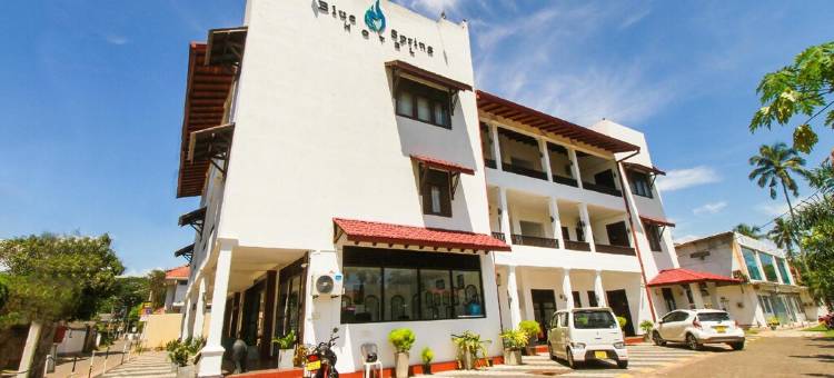 蓝色春天酒店店(Blue Spring Hotel)图片