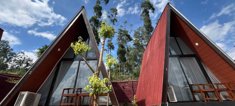 Tilu Juru Villa Garut图片