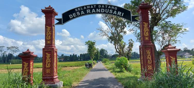 Rumah Cattleya Ixora图片