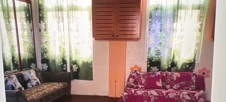 DC Travellers Inn图片