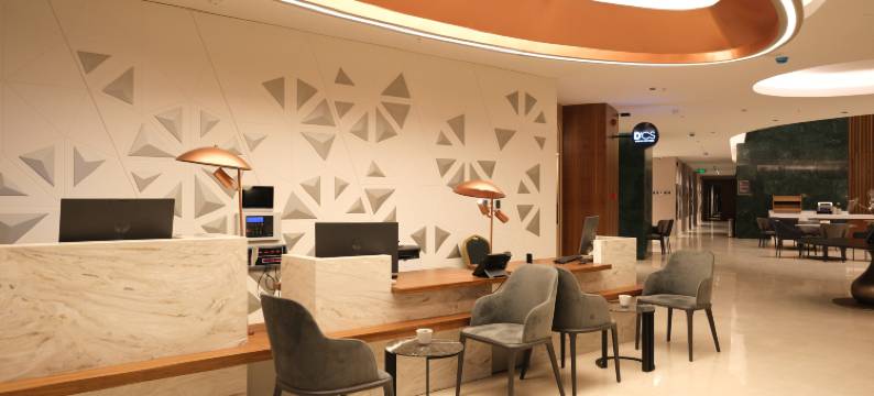 公园德德曼科尼亚酒店(Park Dedeman Konya)图片