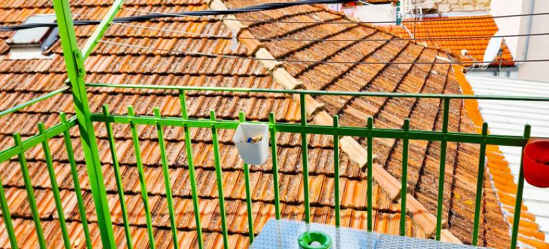 Croparadise Central图片