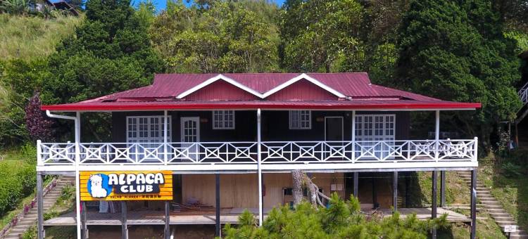 Alpaca Club Homestay图片