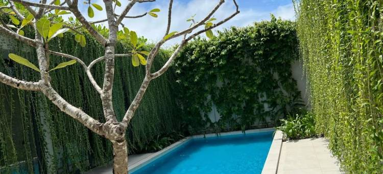 TUI BLUE 别墅静居 富国岛(TUI BLUE Villa Retreat Phu Quoc)图片