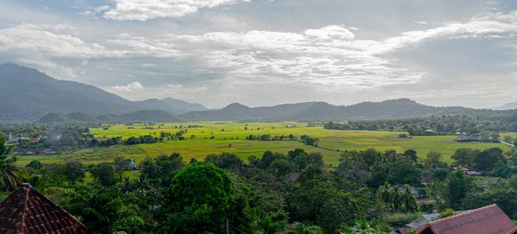 兰卡威武吉度假村(The Bukit Resort Langkawi)图片