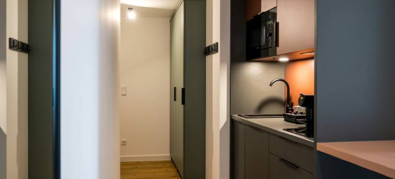 Homaris 诺利开间(Homaris Nolli Studios)图片