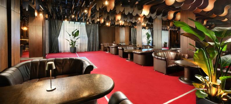 Hotel Academia图片