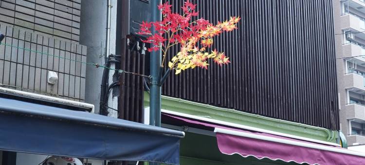 东京浅草雷门之家(Remon House Asakusa Tokyo)图片